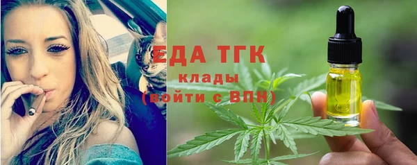 индика Елизово