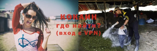 индика Елизово