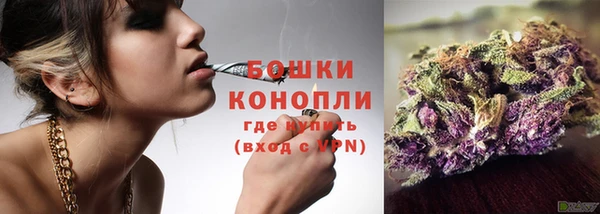 индика Елизово