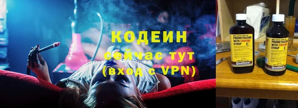 индика Елизово
