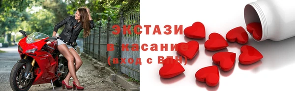 индика Елизово