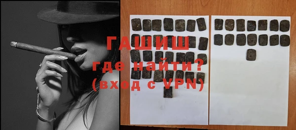 индика Елизово