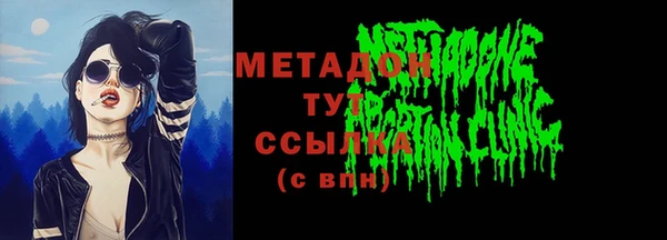 индика Елизово