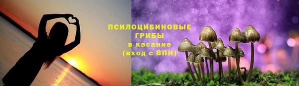 прущий лед Ельня
