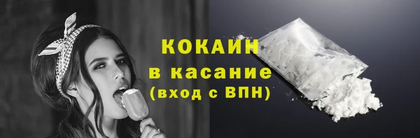 индика Елизово