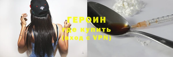 индика Елизово