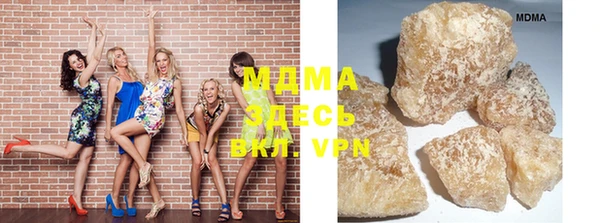 индика Елизово