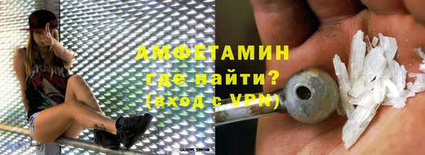 индика Елизово