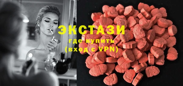 индика Елизово