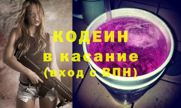 индика Елизово