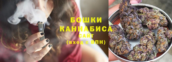 индика Елизово