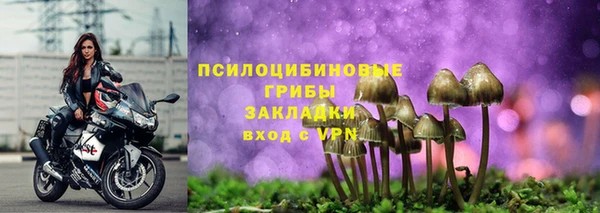 индика Елизово