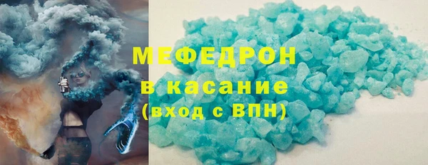 индика Елизово