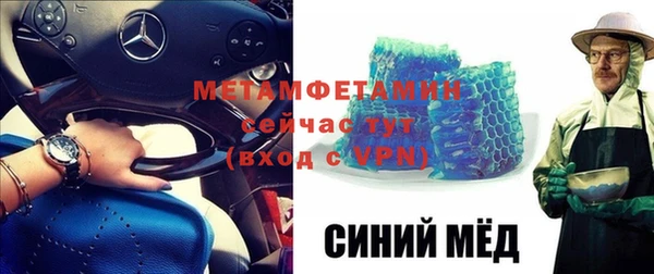 индика Елизово