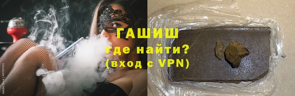 индика Елизово
