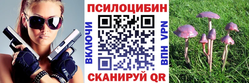 Псилоцибиновые грибы Psilocybine cubensis хочу Зеленоградск
